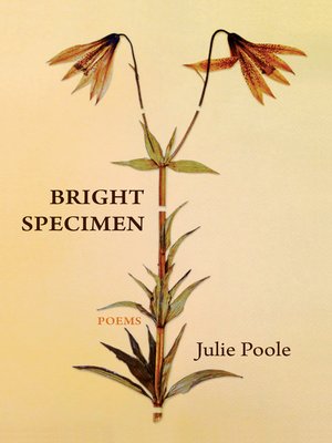 cover image of Bright Specimen